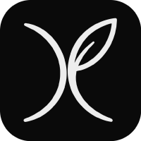 World Model Optimizer logo